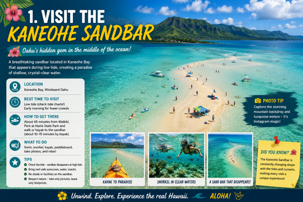 Visit the Kaneohe Sandbar