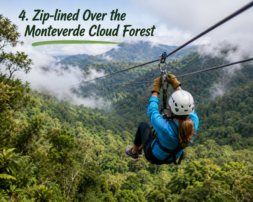 Zip-lined Over the Monteverde Cloud Forest